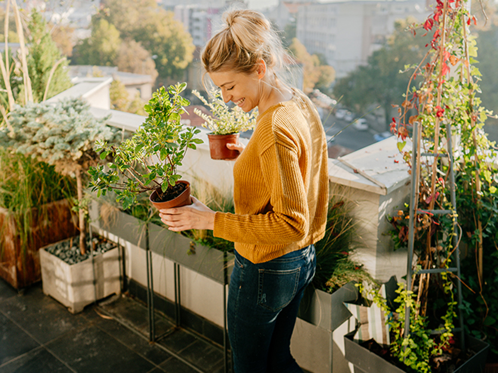 Φέρτε την άνοιξη στο μπαλκόνι σας με όμορφα φυτά ταχείας ανθοφορίας
